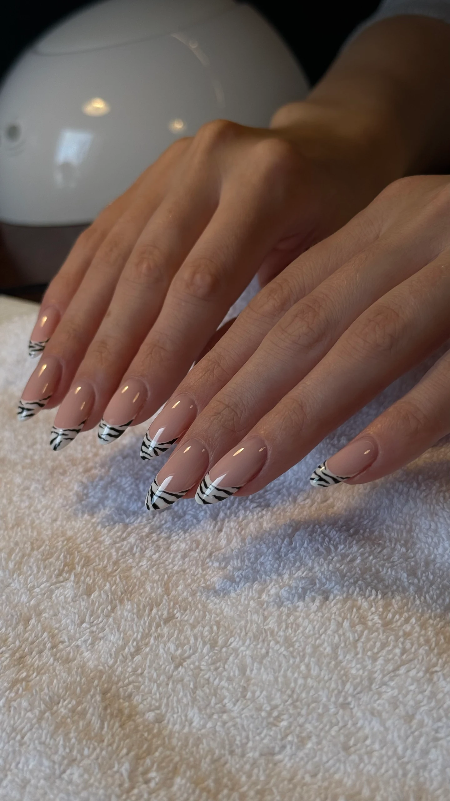 Zebra French Finish.